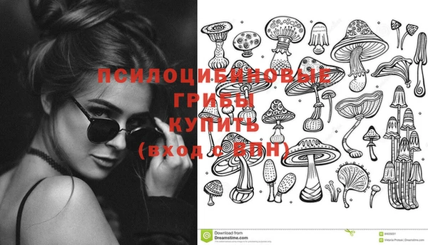 эйфоретик Саяногорск