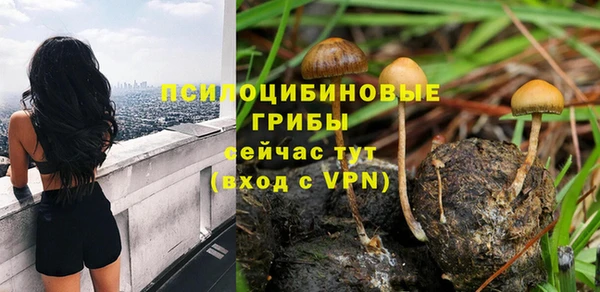 гидропоника Богородск