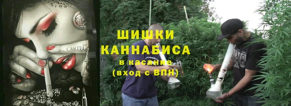 сатива Богородицк