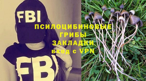 каннабис Богданович