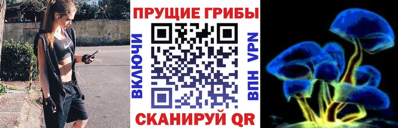 Галлюциногенные грибы GOLDEN TEACHER Киреевск